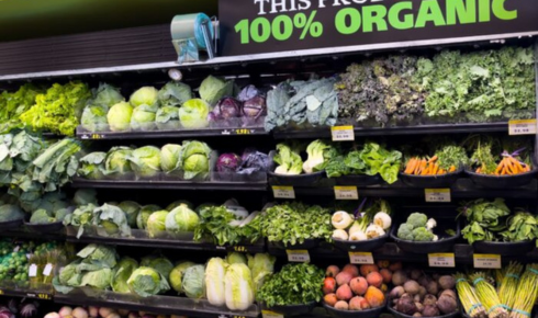Healthy vs Organic Food What’s the Real Difference